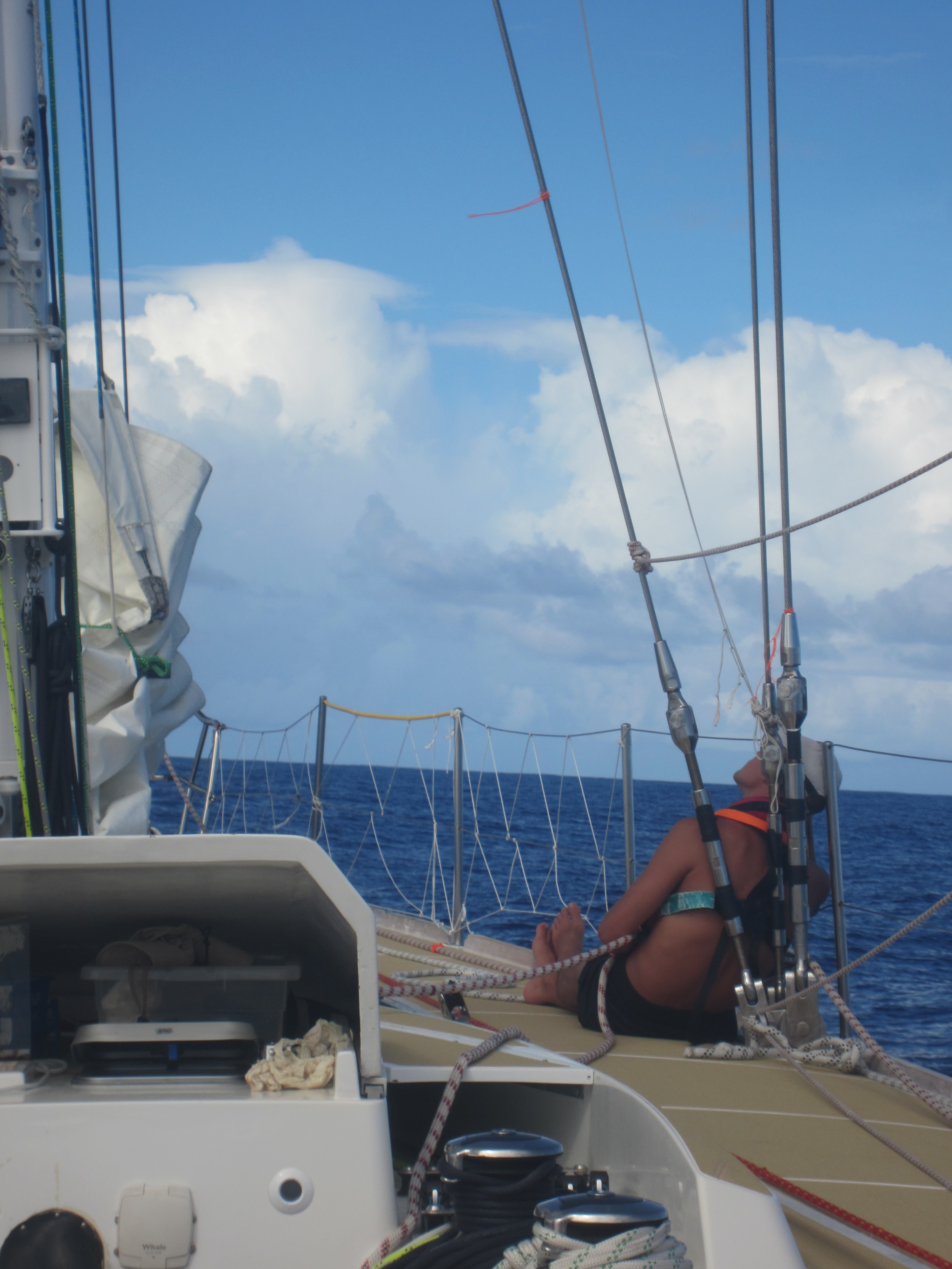 Trimming a spinnaker